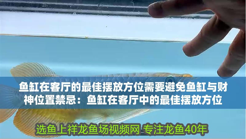 魚缸在客廳的最佳擺放方位需要避免魚缸與財(cái)神位置禁忌：魚缸在客廳中的最佳擺放方位