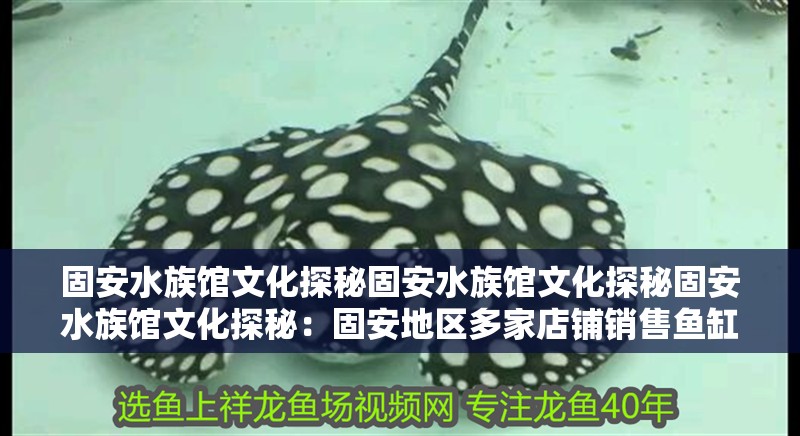 固安水族館文化探秘固安水族館文化探秘固安水族館文化探秘：固安地區多家店鋪銷售魚缸及相關水族產品