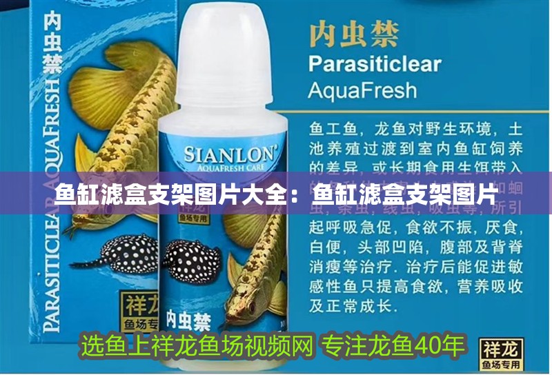 魚缸濾盒支架圖片大全：魚缸濾盒支架圖片