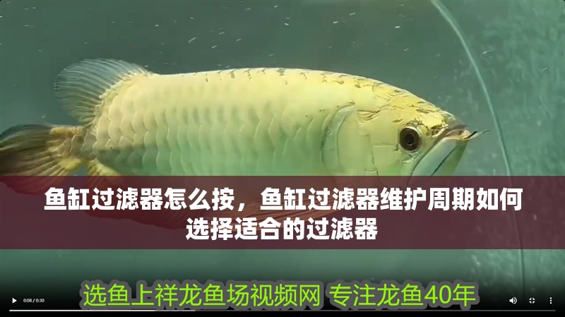 魚缸過濾器怎么按，魚缸過濾器維護周期如何選擇適合的過濾器