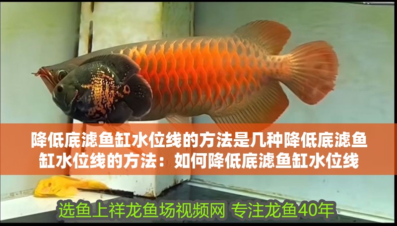 降低底濾魚缸水位線的方法是幾種降低底濾魚缸水位線的方法：如何降低底濾魚缸水位線