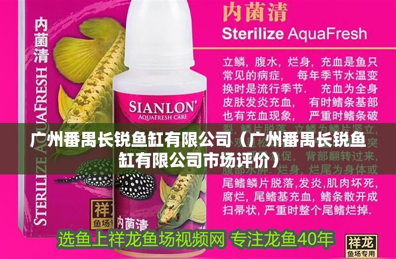 我的虎魚真菌感染了要怎么處理 廣州番禺長銳魚缸有限公司(廣州番禺長銳魚缸有限公司市場評價) 魚缸百科 廣州番禺長銳魚缸有限公司(廣州番禺長銳魚缸有限公司市場評價) 廣州番禺長銳魚缸有限公司(廣州番禺長銳魚缸有限公司市場評價) 魚缸百科