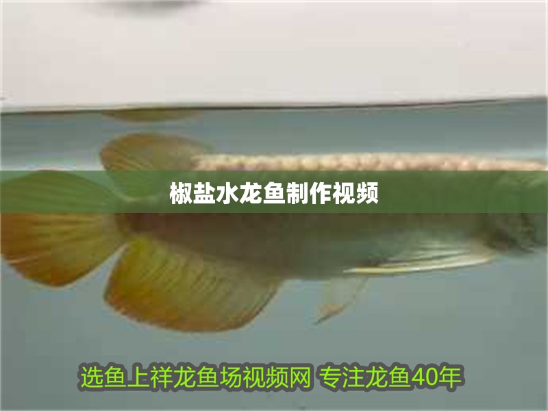 椒鹽水龍魚制作視頻