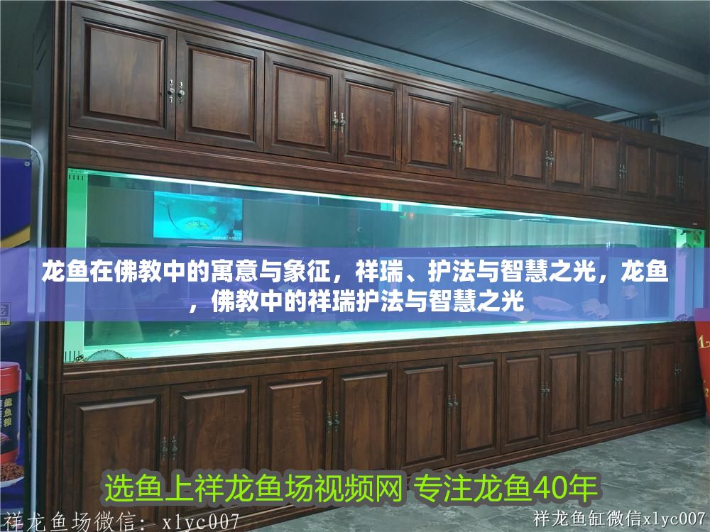 龍魚在佛教中的寓意與象征，祥瑞、護法與智慧之光，龍魚，佛教中的祥瑞護法與智慧之光