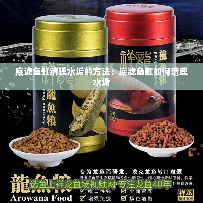 底濾魚缸清理水垢的方法：底濾魚缸如何清理水垢