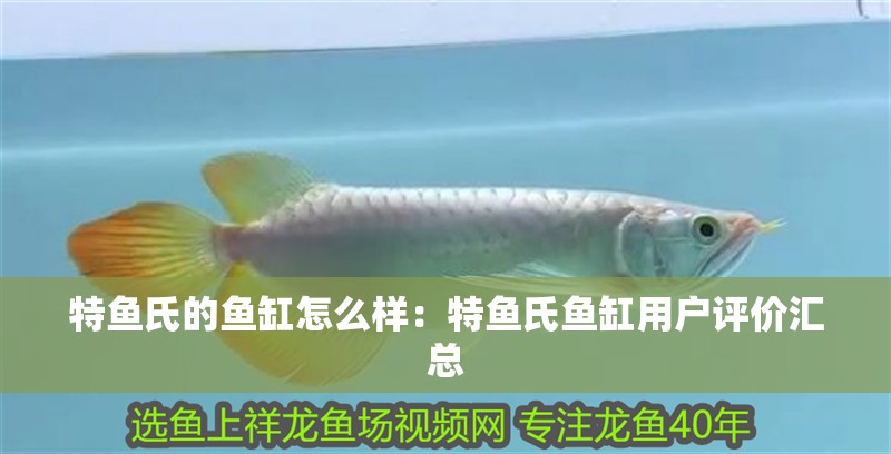特魚氏的魚缸怎么樣：特魚氏魚缸用戶評價匯總