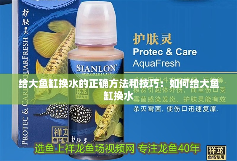 龍魚怕什么 給大魚缸換水的正確方法和技巧:如何給大魚缸換水 魚缸百科 給大魚缸換水的正確方法和技巧:如何給大魚缸換水 給大魚缸換水的正確方法和技巧:如何給大魚缸換水 魚缸百科