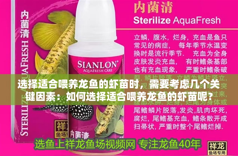 選擇適合喂養(yǎng)龍魚的蝦苗時，需要考慮幾個關(guān)鍵因素：如何選擇適合喂養(yǎng)龍魚的蝦苗呢？