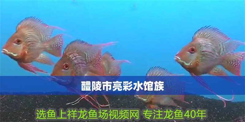 醴陵市亮彩水館族