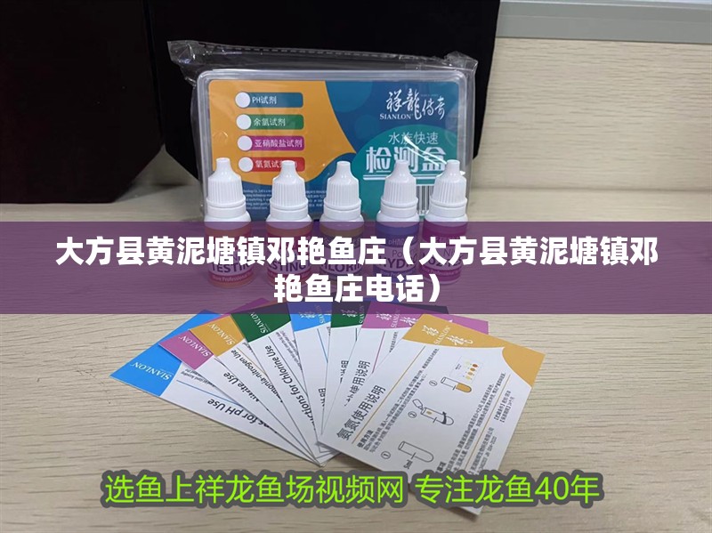 大方縣黃泥塘鎮鄧艷魚莊（大方縣黃泥塘鎮鄧艷魚莊電話）