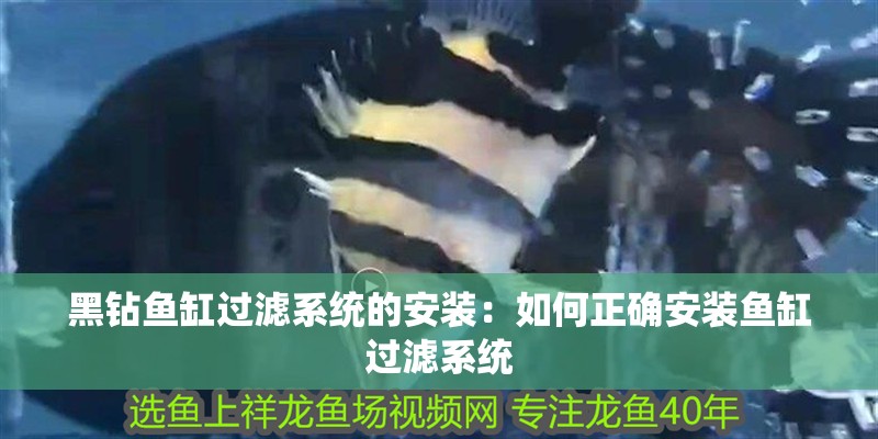 黑鉆魚缸過濾系統的安裝：如何正確安裝魚缸過濾系統
