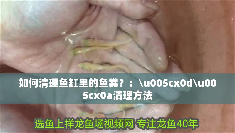 如何清理魚缸里的魚糞？：\u005cx0d\u005cx0a清理方法