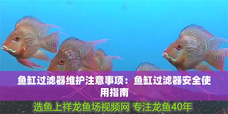 魚(yú)缸過(guò)濾器維護(hù)注意事項(xiàng)：魚(yú)缸過(guò)濾器安全使用指南