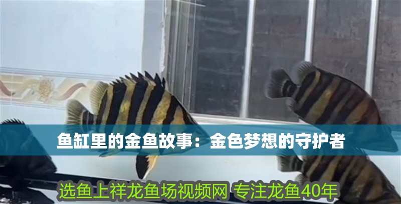 魚(yú)缸里的金魚(yú)故事：金色夢(mèng)想的守護(hù)者