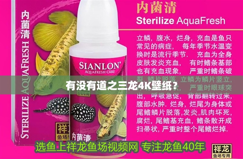 有沒有道之三龍4K壁紙？