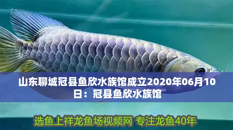 山東聊城冠縣魚欣水族館成立2020年06月10日：冠縣魚欣水族館