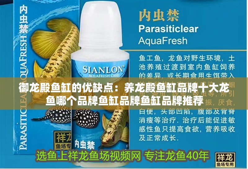 御龍殿魚缸的優缺點：養龍殿魚缸品牌十大龍魚哪個品牌魚缸品牌魚缸品牌推薦