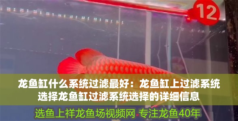 龍魚缸什么系統過濾最好：龍魚缸上過濾系統選擇龍魚缸過濾系統選擇的詳細信息
