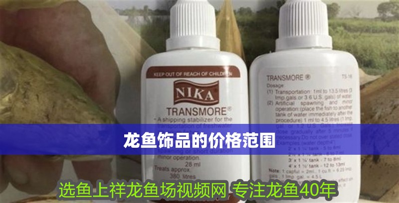 龍魚飾品的價格范圍