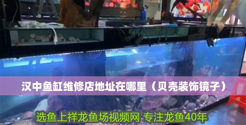 漢中魚缸維修店地址在哪里（貝殼裝飾鏡子）