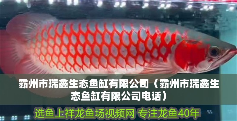 霸州市瑞鑫生態(tài)魚缸有限公司（霸州市瑞鑫生態(tài)魚缸有限公司電話）