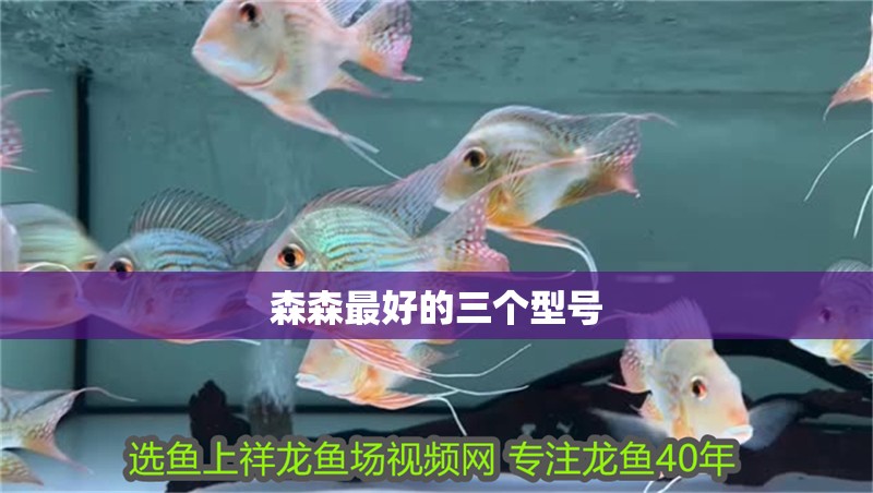 森森最好的三個(gè)型號