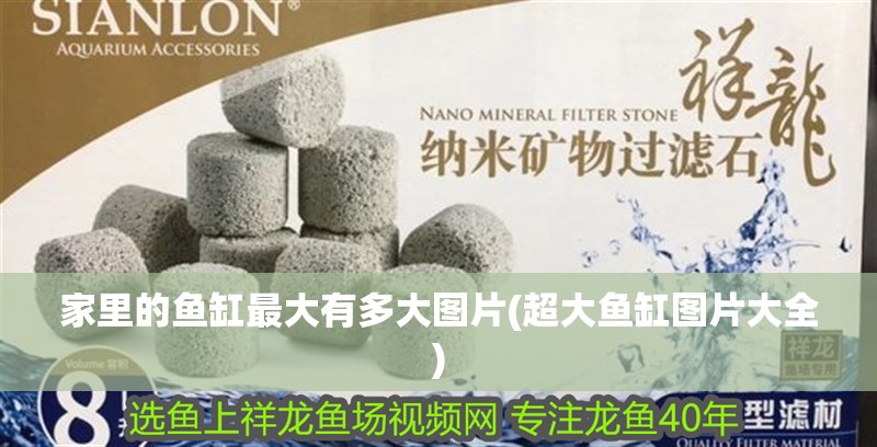 家里的魚缸最大有多大圖片(超大魚缸圖片大全)
