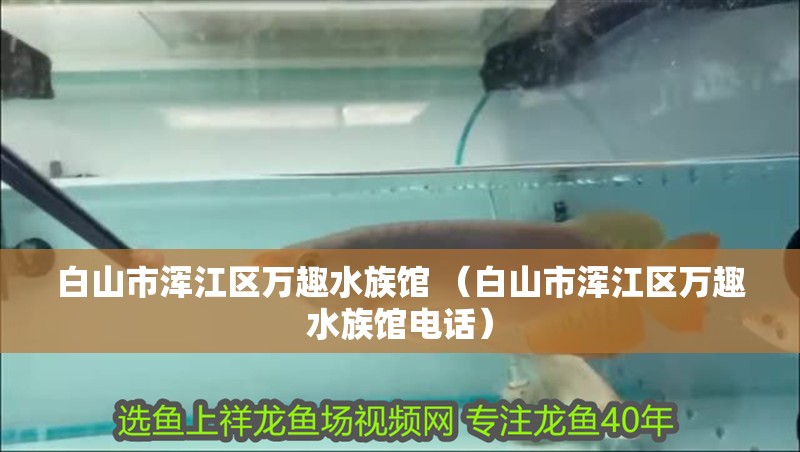 白山市渾江區(qū)萬(wàn)趣水族館 （白山市渾江區(qū)萬(wàn)趣水族館電話）