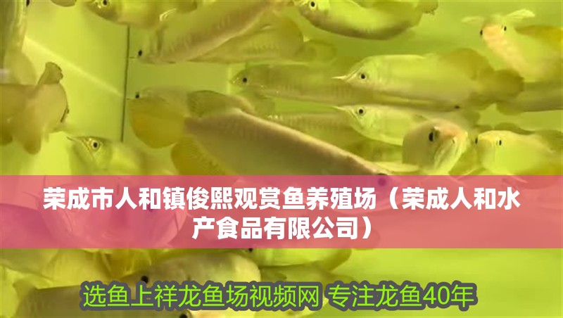 榮成市人和鎮(zhèn)俊熙觀賞魚養(yǎng)殖場（榮成人和水產(chǎn)食品有限公司）