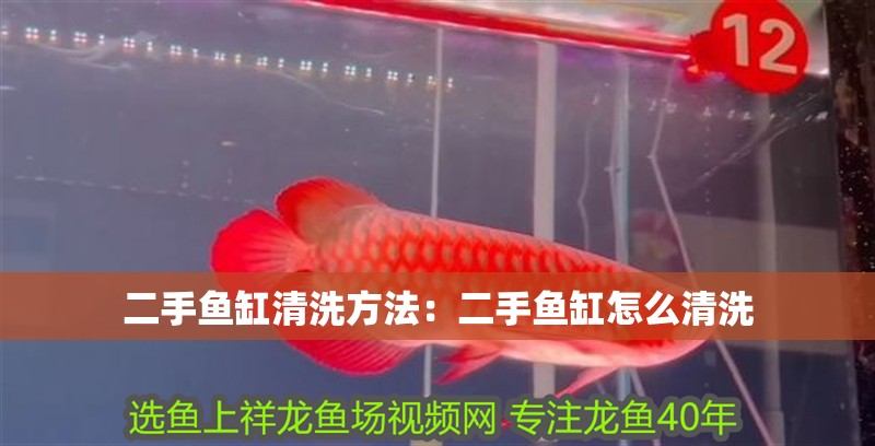 二手魚缸清洗方法：二手魚缸怎么清洗