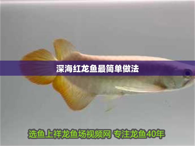 深海紅龍魚最簡單做法