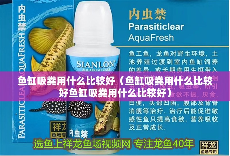 魚缸吸糞用什么比較好（魚缸吸糞用什么比較好魚缸吸糞用什么比較好）