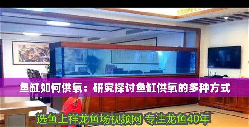 魚缸如何供氧：研究探討魚缸供氧的多種方式