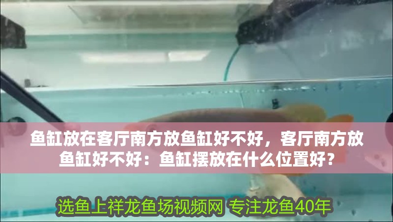 魚缸放在客廳南方放魚缸好不好，客廳南方放魚缸好不好：魚缸擺放在什么位置好？