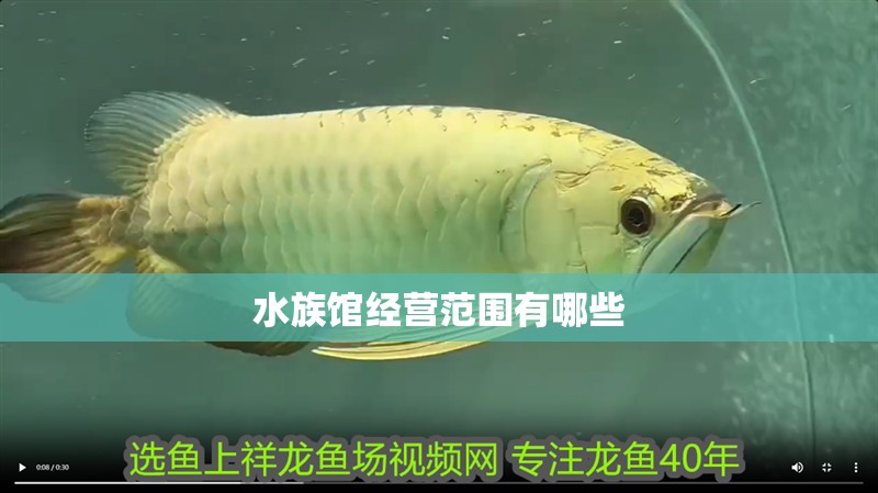 水族館經營范圍有哪些
