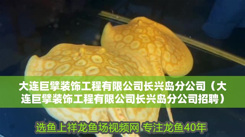 虎魚天天黑來點赤瞳黃金 大連巨擘裝飾工程有限公司長興島分公司(大連巨擘裝飾工程有限公司長興島分公司招聘) 全國水族館企業名錄 大連巨擘裝飾工程有限公司長興島分公司(大連巨擘裝飾工程有限公司長興島分公司招聘) 大連巨擘裝飾工程有限公司長興島分公司(大連巨擘裝飾工程有限公司長興島分公司招聘) 全國水族館企業名錄