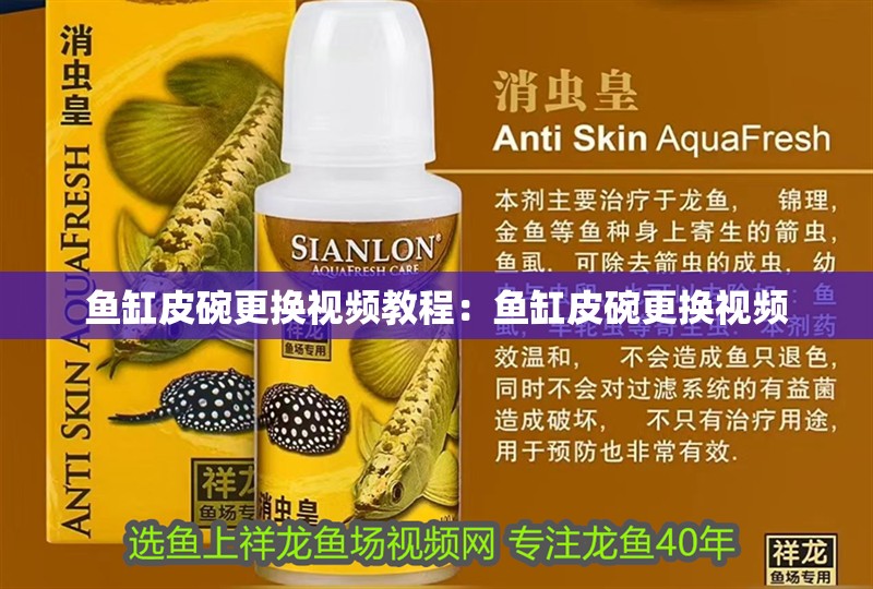 魚缸皮碗更換視頻教程：魚缸皮碗更換視頻