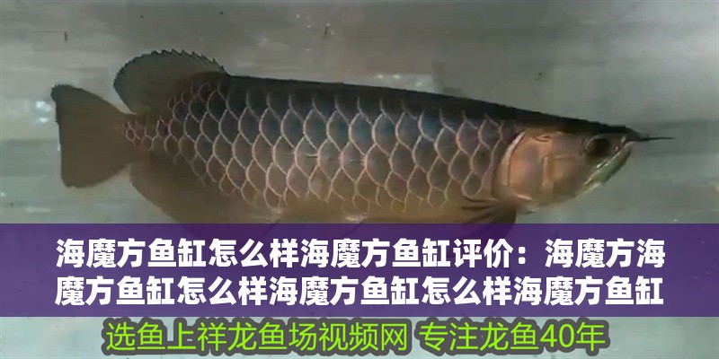 海魔方魚缸怎么樣海魔方魚缸評價：海魔方海魔方魚缸怎么樣海魔方魚缸怎么樣海魔方魚缸