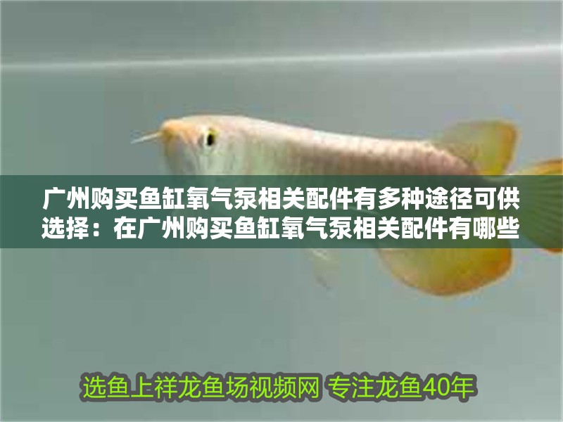 廣州購(gòu)買(mǎi)魚(yú)缸氧氣泵相關(guān)配件有多種途徑可供選擇：在廣州購(gòu)買(mǎi)魚(yú)缸氧氣泵相關(guān)配件有哪些途徑