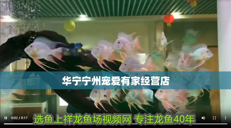 華寧寧州寵愛(ài)有家經(jīng)營(yíng)店