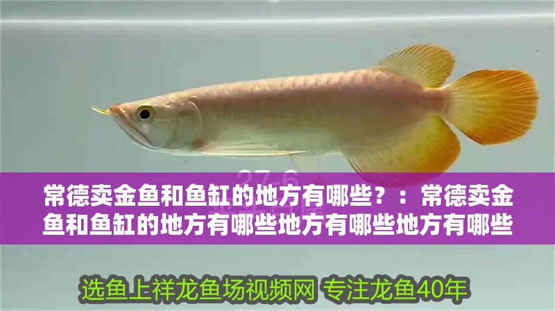 <strong><mark>常德</mark></strong>賣金魚和魚缸的地方有哪些？：<strong><mark>常德</mark></strong>賣金魚和魚缸的地方有哪些地方有哪些地方有哪些