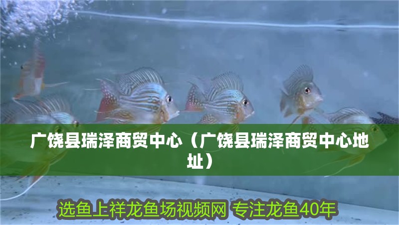 給大魚缸換水的作文:體驗給大魚缸換水的樂趣:體驗給大魚缸換水:給大魚缸換水的作文 廣饒縣瑞澤商貿中心(廣饒縣瑞澤商貿中心地址) 全國水族館企業名錄 廣饒縣瑞澤商貿中心(廣饒縣瑞澤商貿中心地址) 廣饒縣瑞澤商貿中心(廣饒縣瑞澤商貿中心地址) 全國水族館企業名錄