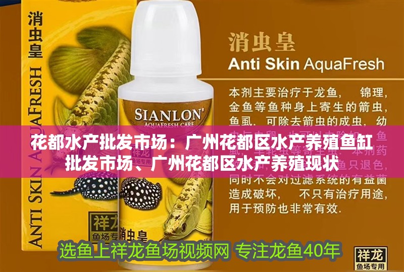 花都水產批發市場：廣州花都區水產養殖魚缸批發市場、廣州花都區水產養殖現狀 花都水產批發市場：廣州花都區水產養殖魚缸批發市場、廣州花都區水產養殖現狀 魚缸百科