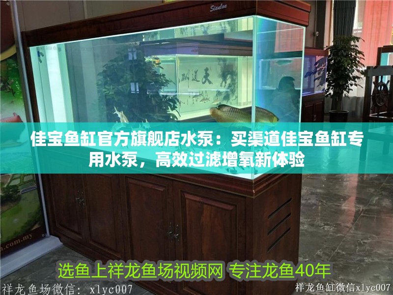 佳寶魚缸官方旗艦店水泵：買渠道佳寶魚缸專用水泵，高效過濾增氧新體驗
