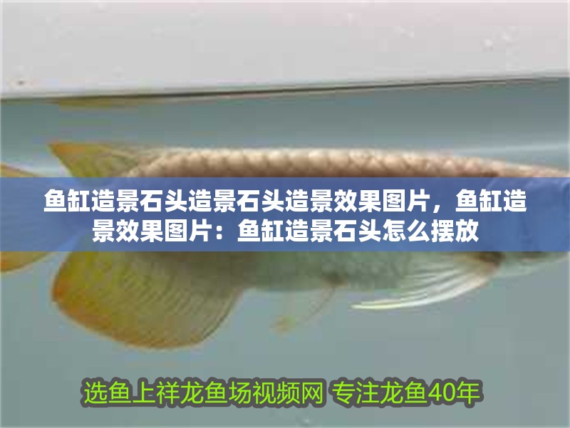 魚缸造景石頭造景石頭造景效果圖片，魚缸造景效果圖片：魚缸造景石頭怎么擺放