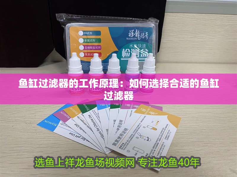 魚缸過濾器的工作原理：如何選擇合適的魚缸過濾器