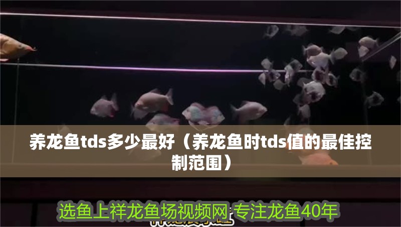 養龍魚tds多少最好（養龍魚時tds值的最佳控制范圍）