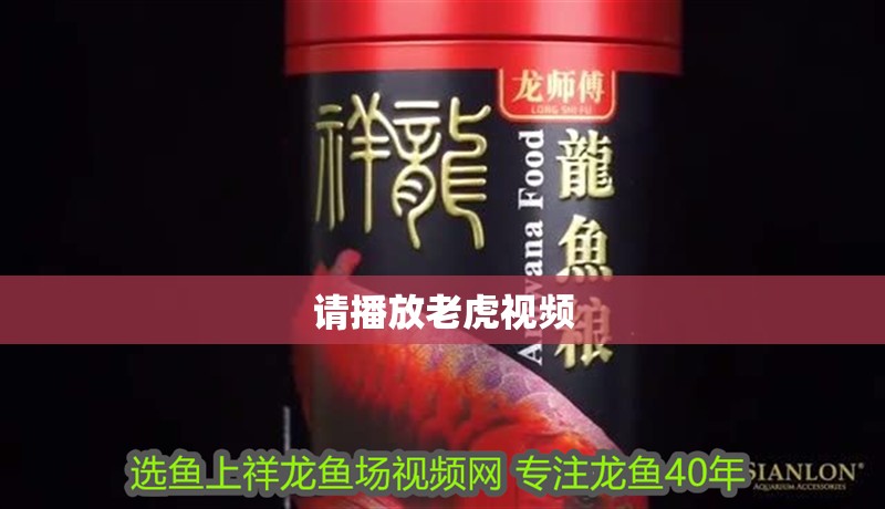 請播放老虎視頻