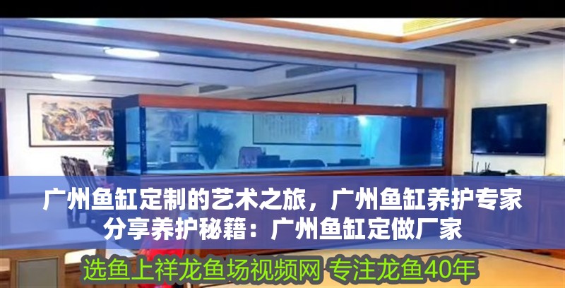 廣州魚缸定制的藝術之旅，廣州魚缸養護專家分享養護秘籍：廣州魚缸定做廠家