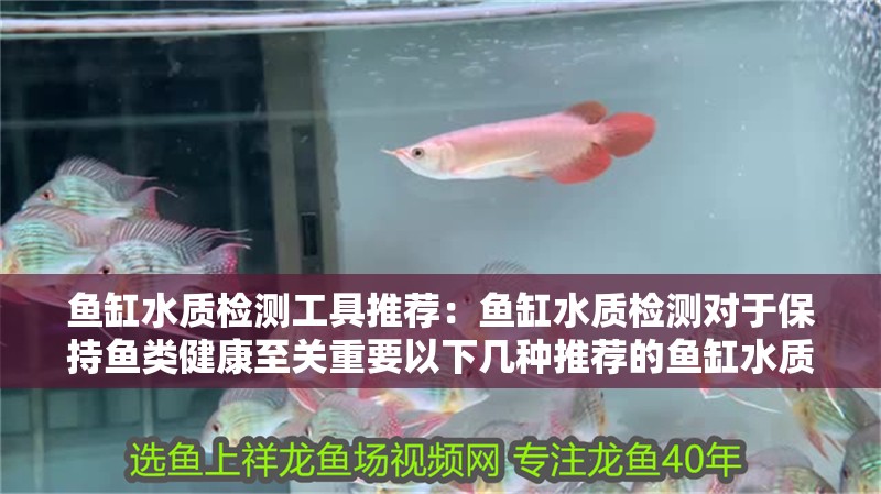 魚缸水質檢測工具推薦：魚缸水質檢測對于保持魚類健康至關重要以下幾種推薦的魚缸水質檢測工具